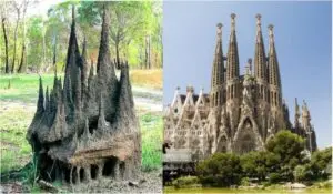 Termite-Mound-and-The Expiatory-Temple-of-the-Holy-Family-Barcelona-Spain