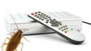 cockroach-and-tv-controler