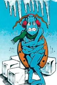 freezing-bugs