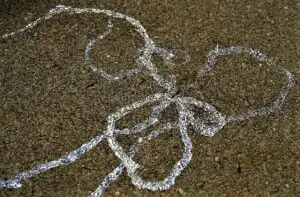 snail-slime-trail