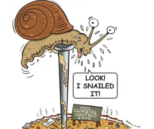 snailed-it-blog-1-3-21-2
